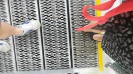 10ft Alligator under Glass Bottom Boat