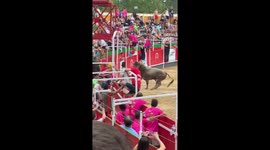 Bull leaps into crowd in Spain seriously injuring 19 spectators before being shot