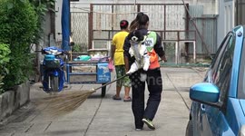 Street sweeper takes her puppy to work by strapping him to her back