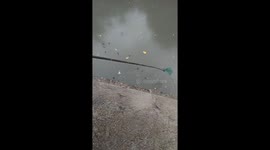Children Collect Plastic Bottles From Canal
