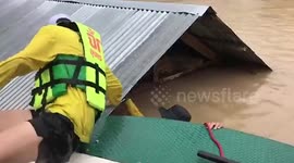 Stranded pet dog rescued after sheltering in the rafters of flooded home