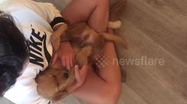 Bowen’s first day in his forever home