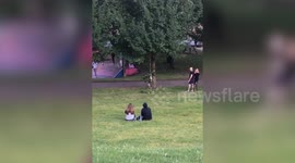 Hilarious moment UK dog swings from tree in desperate bid to break off a stick