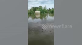 Bizarre moment huge ceramic pot floats down flooded road after heavy rain in Thailand