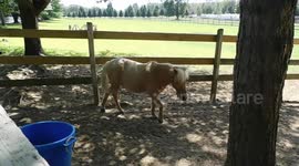 Summer Holiday in Homestead by the River Family Campground Maine USA