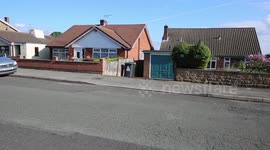 Wacky gardener cuts his front hedge into the shape of a giant cat