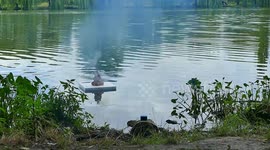 EXPERIMENT XXXL FIRECRACKER ON WATER VS EGGS