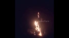 Magical moment wolves sing along as reunited daughter and birth father perform duet in Los Angeles