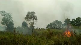 Fire Forest in South Sumatra, Indonesia