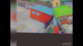 Dog chasing takeaway man