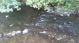 Zen moments with sparkling water in the Ardennes, Belgium