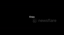 This is the WORLDS FASTEST ELECTRIC SKATEBOARD