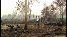 Indonesia president visits wildfire location to observe fire-fighting progress