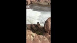 Boy Stuck In Sea And He Dont Know What To Do Next