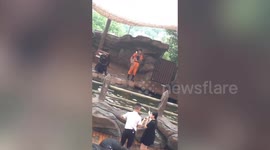 女游客把圈套在了驯养师身上 海狮生气离开