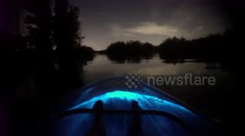 Stunning footage shows kayakers wading through glowing blue water in Florida
