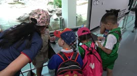 People flock to Chiang Mai Zoo in Thailand as death of giant panda sparks outrage in China