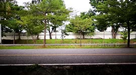 Women Running Movement