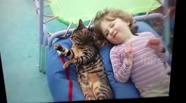 Cat nap with toddler