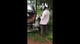 Heartwarming moment driver pays 350 dollars to buy dogs being sold as meat in Cambodia