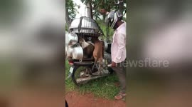 Cambodian man buys dogs to prevent them being butchered for their meat
