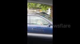 Pet pug starts beeping car horn when owner takes too long paying for petrol