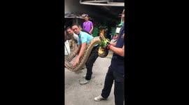 Fat 18-foot-long python caught in family's garage in Thailand