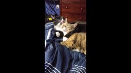 No stopping! Even for a second.