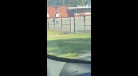 Presley Pushes Kindness and Inclusion