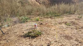 Testing the strength of children's toys, cars, Pepsi, Coca-Cola, air freshener and other