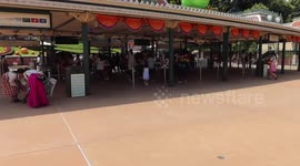 After protests, mainland China tourists snub Hong Kong's Disneyland