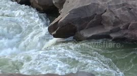 Did these two love birds just made a big mistake? Or did they commit suicide together?!