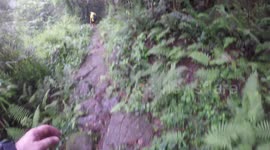 Barefoot hiking in Ma On Shan park in Hong Kong