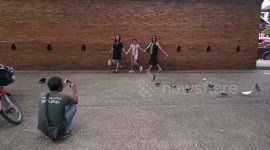 Professional 'pigeon spookers' help tourists take the perfect Instagram shot in Thailand