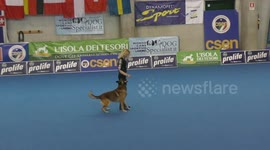 Ilim and I present to your attention the Insightful composition called “Still loving you” (Scorpions). It shows us the story of love in which there is Recognition that the story might be over. However, desire to Turn back the clock and to try again is rat