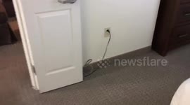 Dad Came Across This In a Hotel In Austin TX