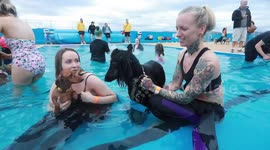 Playful pooches splash around in 'doggy swim day' hosted at UK pool
