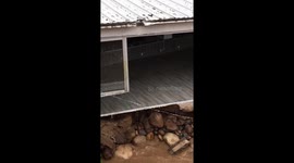 Tree uprooted alongside Rio Cuale river in Puerto Vallarta causes damage