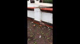 Damage from uprooted tree