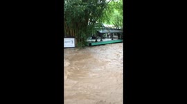 Roaring Rio Cuale River in Puerto Vallarta