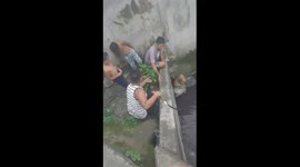 Residents rescue dog stranded in canal in the Philippines