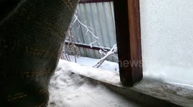 winter refuge, siberia, cold frost experiment