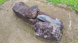 Archaeological site in West Sumatra shows hundreds of relics