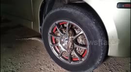 Thai driver shocked to find python tangled inside allow wheel rims