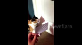 @Chris_Bado @DylanMeise https://t.co/YwmRA74RBJ