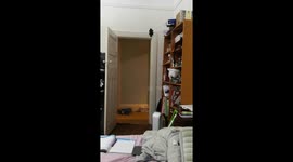 Door closing contraption