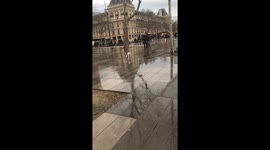 Parisian Dog Runs Very Fast Through Jules Ferry Square