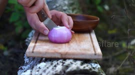 Delicious HOT-DOG cooked in nature