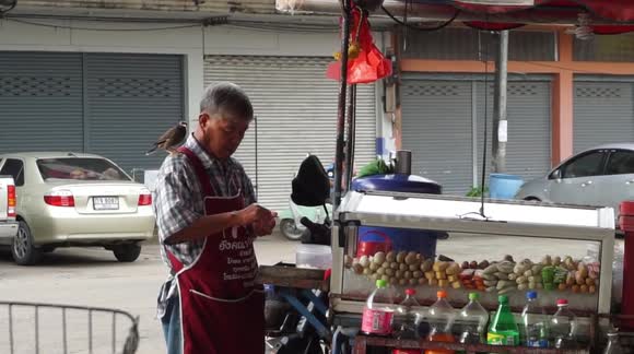 Thai street vendor befriends wild bird who sits on his shoulder and gets tidbits