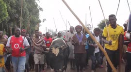 Controversial bull-wrestling matches held in west Kenya